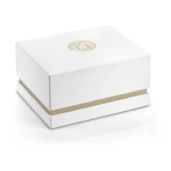 Heren Versace Horloges^AION Leren Band Horloge Blauwe Wijzerplaat