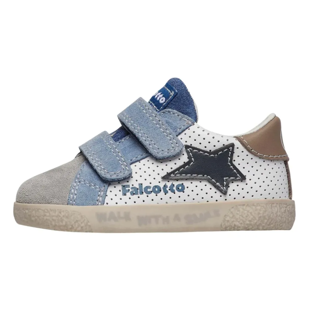 Falcotto Alnoite 2 VL