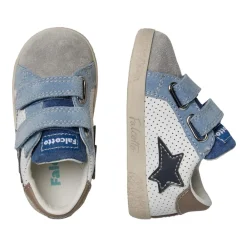 Falcotto Alnoite 2 VL