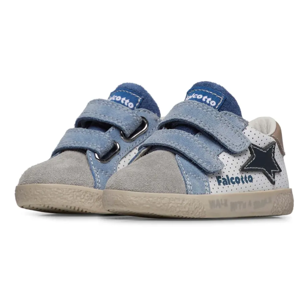 Falcotto Alnoite 2 VL