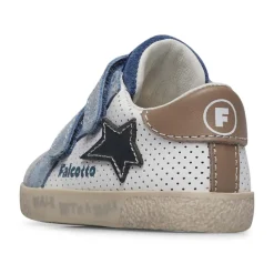 Falcotto Alnoite 2 VL