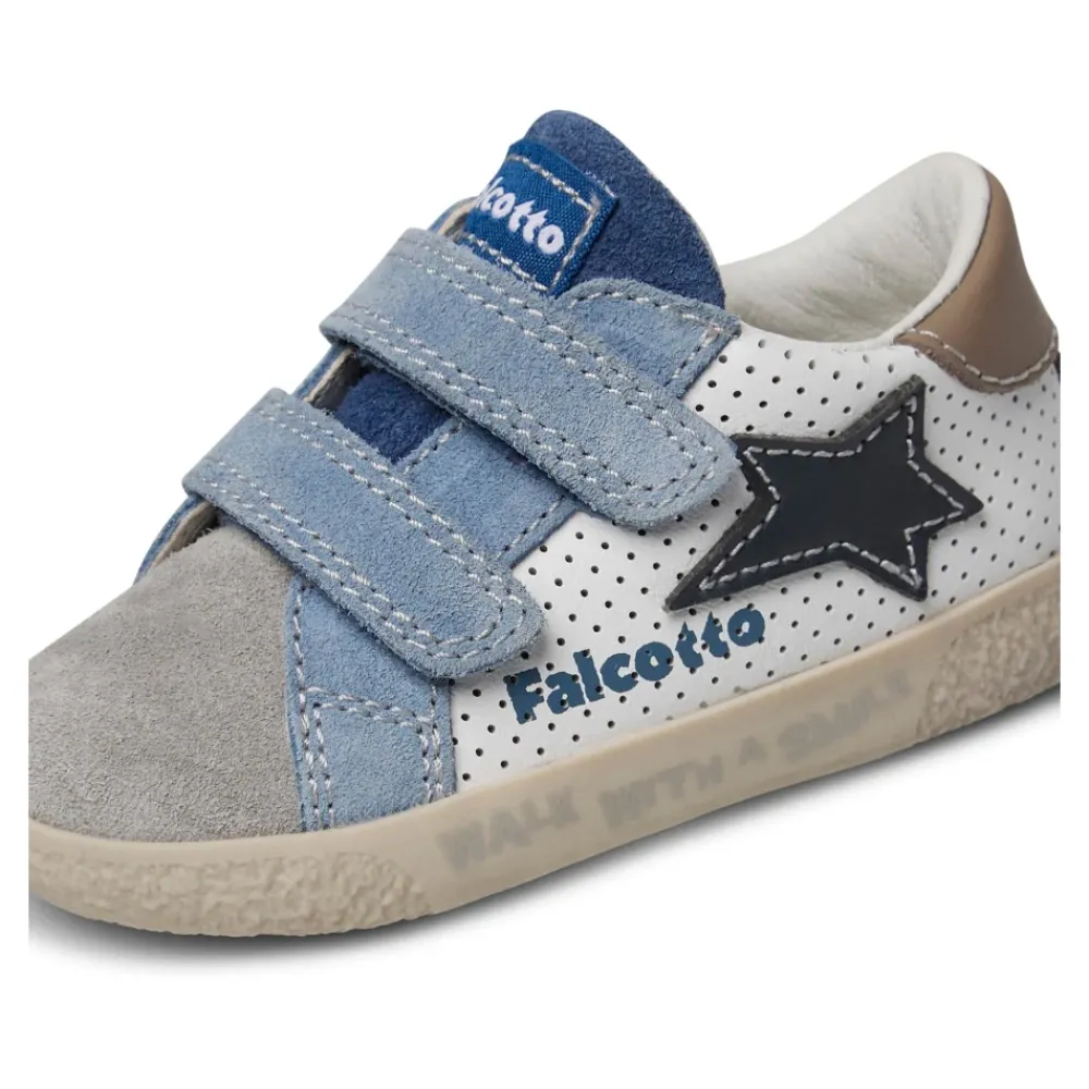 Falcotto Alnoite 2 VL