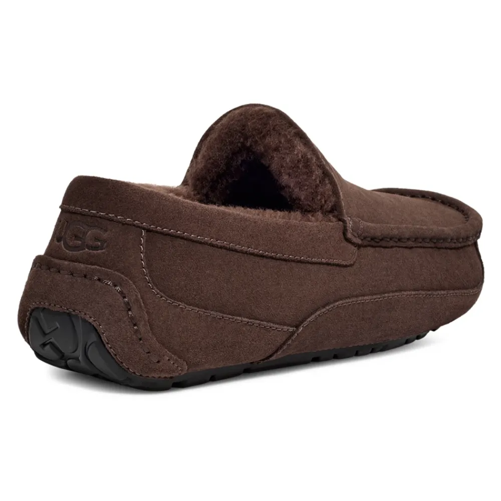 Heren UGG Pantoffels^Ascot Pantoffels Dusted Cocoa