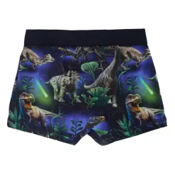 Molo e Dinosaurus Boxershorts Set