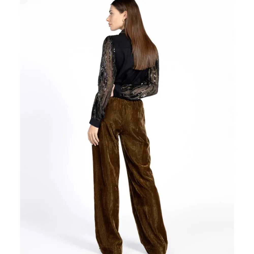 DAMES Aaiko Blouses^Blouse lange mouw PILLAR PAILLETTE