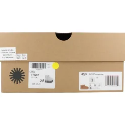 UGG Laarzen^Classic Ultra Mini Platform