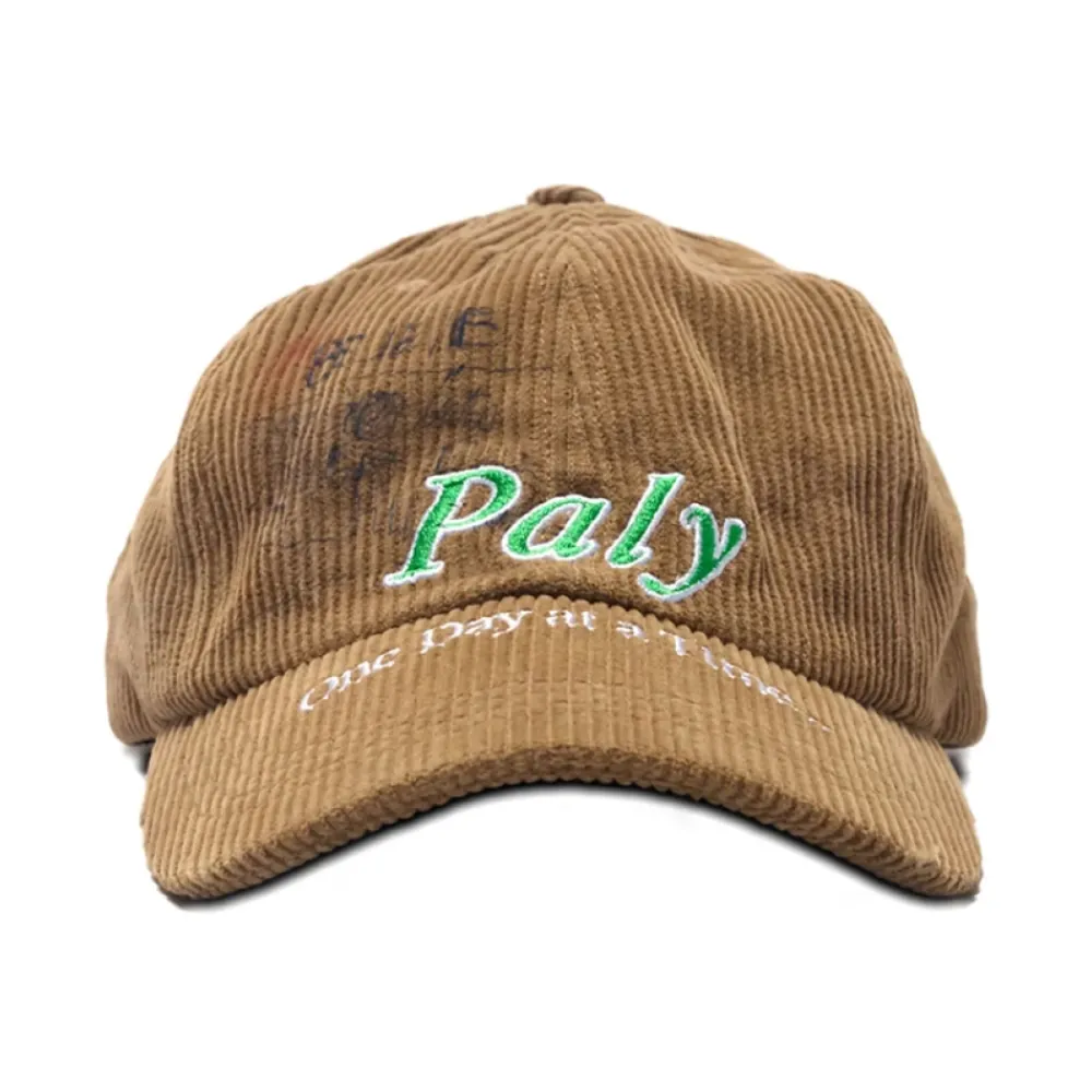Heren Paly Hollywood Confessions Low Profile Hat