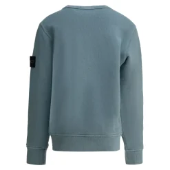 Stone Island Bovenkleding^Crewneck Sweatshirt