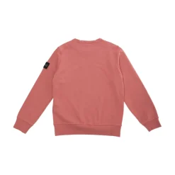 Stone Island Bovenkleding^Crewneck Sweatshirt met Compass Logo