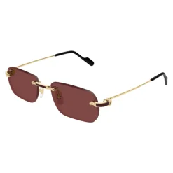 Heren Cartier CT0498S 002 Sunglasses