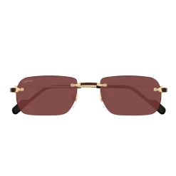 Heren Cartier CT0498S 002 Sunglasses