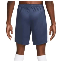 Nike Dri-FIT Academy Shorts