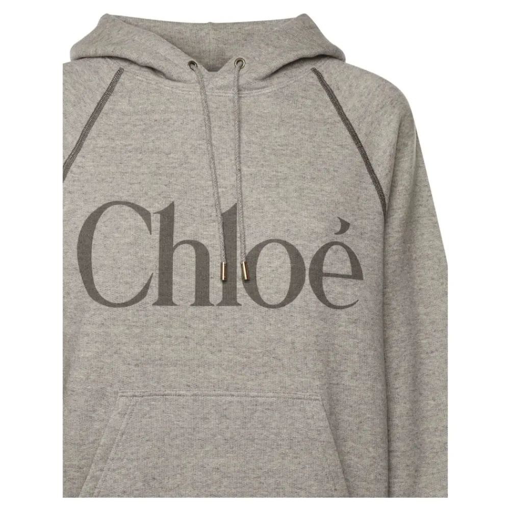 DAMES Chloé Gezellige Hoodie in Vapor Grey