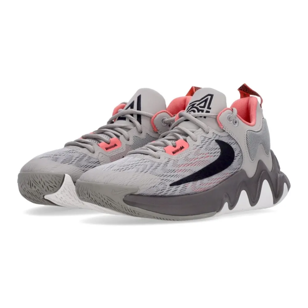 Nike Giannis Immortality 2 Basketbalschoen