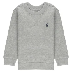 Ralph Lauren Grijze Sweaters