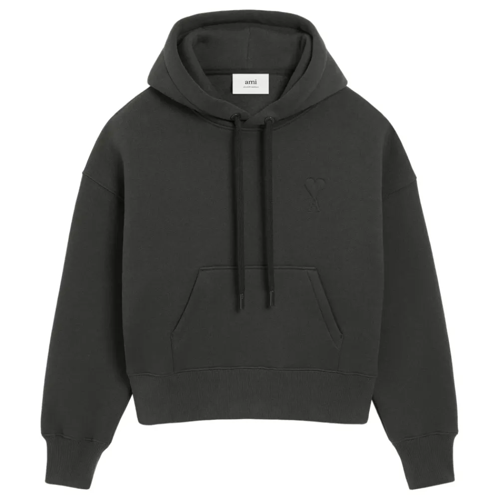 Heren Ami Paris Truien & Vesten^Hoodie Big ADC