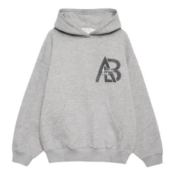 DAMES Anine Bing Hoodies
