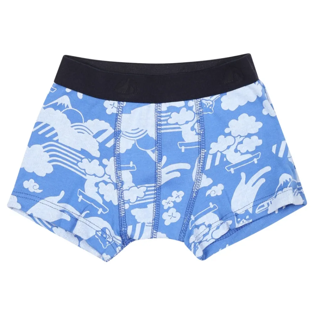 Petit Bateau Katoenen Boxershorts Set Multicolor