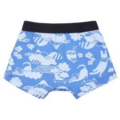 Petit Bateau Katoenen Boxershorts Set Multicolor
