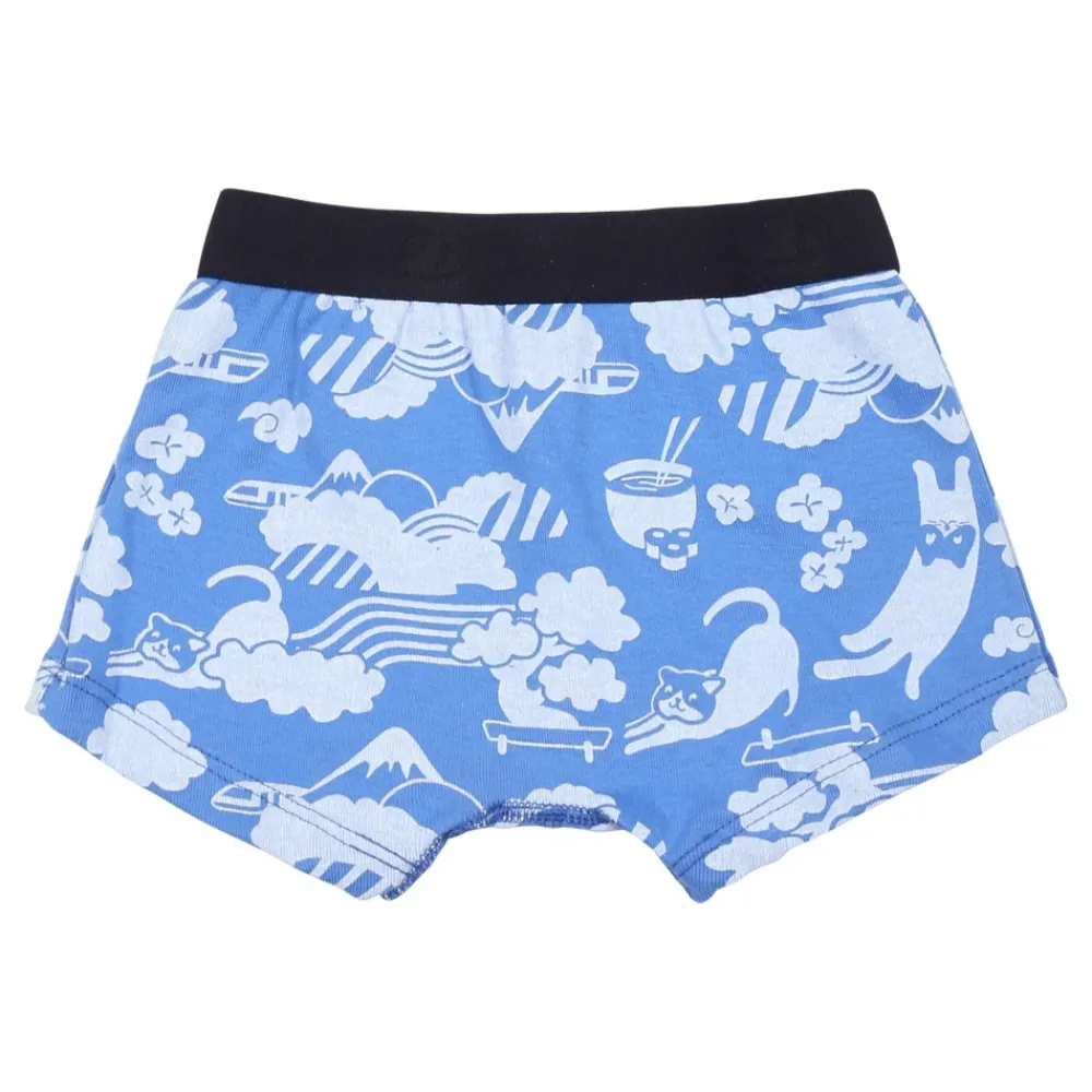 Petit Bateau Katoenen Boxershorts Set Multicolor