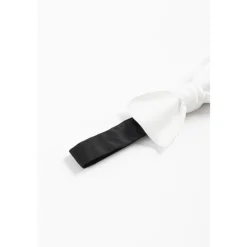 CORSINELABEDOLI Stropdassen En Strikjes^Keramische Vlinder Haarclip