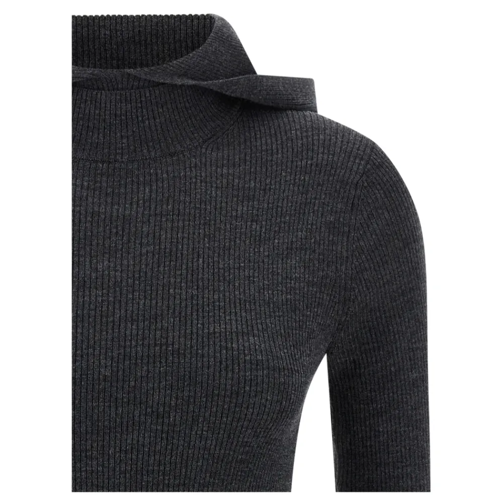 DAMES P.A.R.O.S.H. Leila25 Hooded Sweater