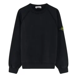 Heren Stone Island LOGO SWEATSHIRT