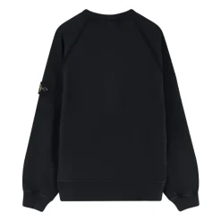 Heren Stone Island LOGO SWEATSHIRT