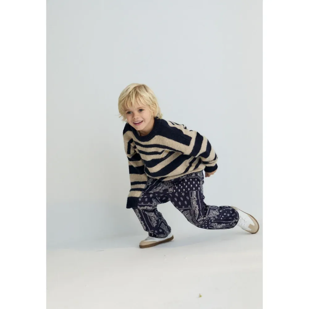 The New Society Luis Pant