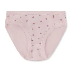 Petit Bateau Multicolor Katoenen Onderbroeken Set met Hartjes