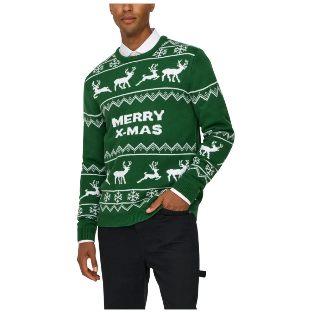 Heren ONLY & SONS Truien & Vesten^ONSXMAS Pullover