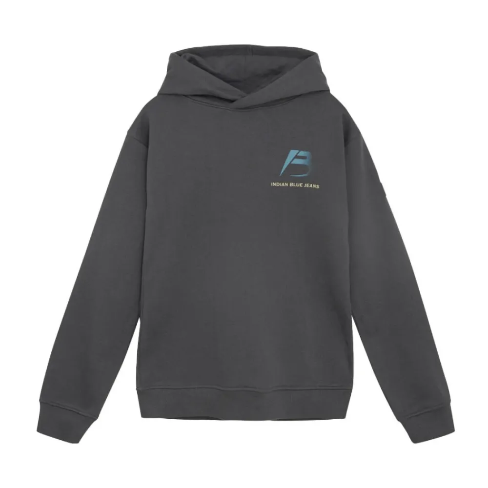Indian Blue Jeans Bovenkleding^Oversized Hoodie Discover