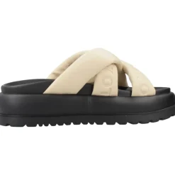 DAMES Buffalo Raya Ari Stud