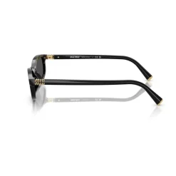 DAMES Miu Miu Regard Zonnebril