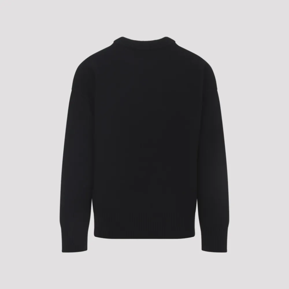 Heren Ami Paris Round-neck Knitwear