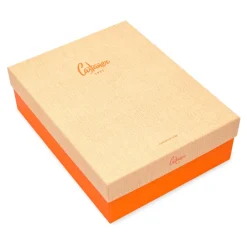 DAMES Castañer Sandalen met sleehak