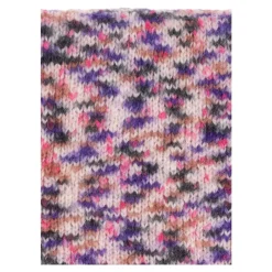 Heren A.P.C. Sjaals^Sjaal Noah