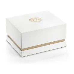 Heren Versace Horloges^Stijlvol Herenhorloge