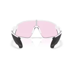 Heren Oakley Zonnebrillen^Stunt Devil