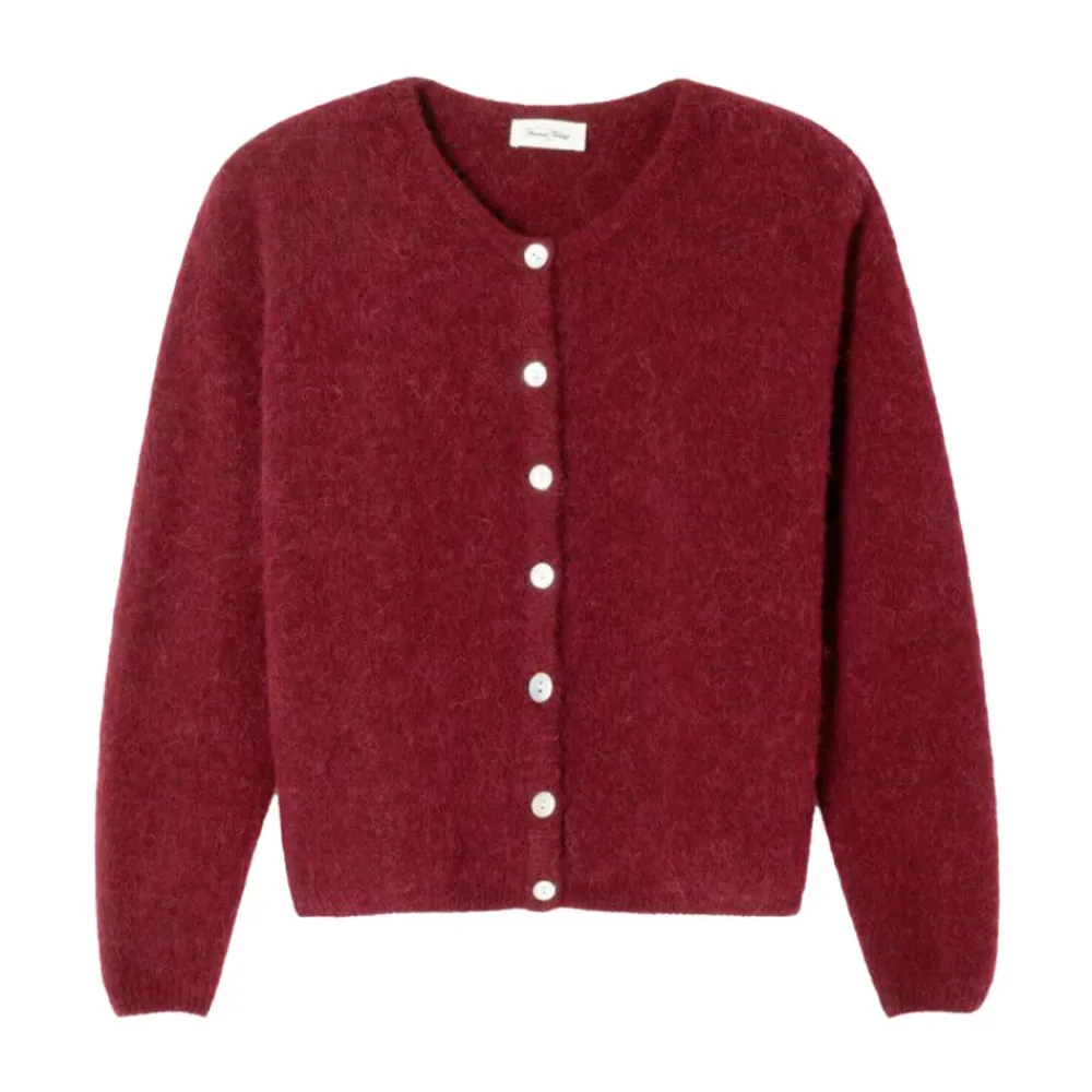 DAMES American Vintage Truien & Vesten^Vintage VITOW Vest