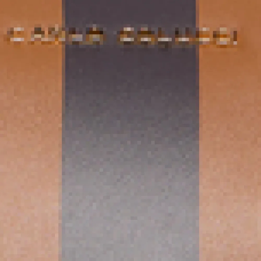 DAMES Carlo Colucci Weekender Reistas