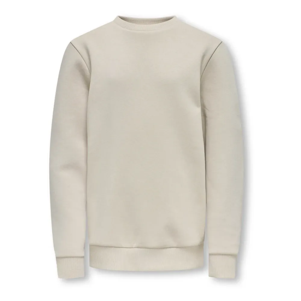 ONLY & SONS Bovenkleding^Zilveren Voering Crew Neck Sweatshirt