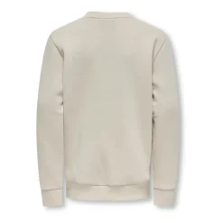 ONLY & SONS Bovenkleding^Zilveren Voering Crew Neck Sweatshirt