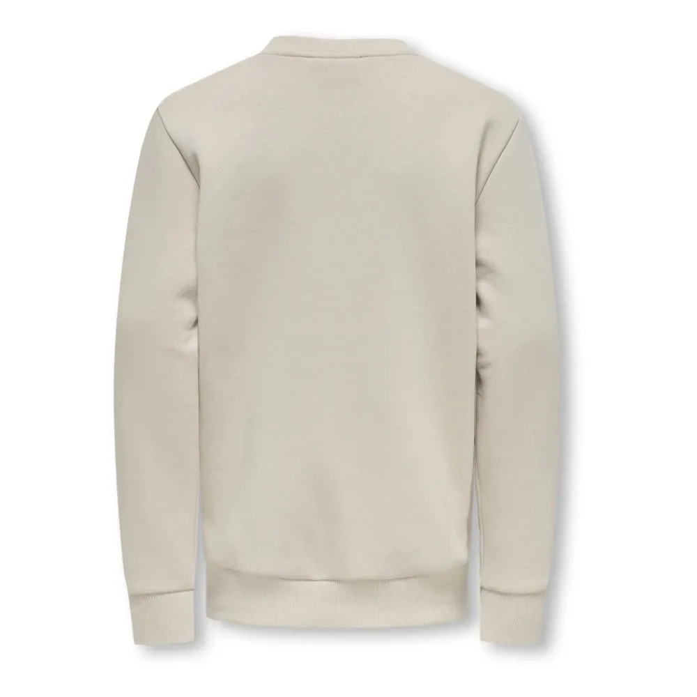 ONLY & SONS Bovenkleding^Zilveren Voering Crew Neck Sweatshirt