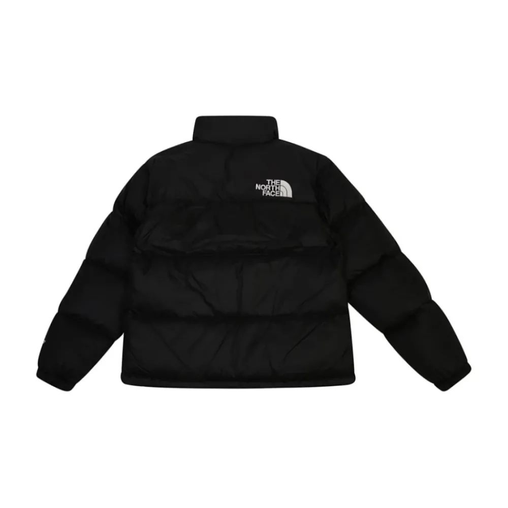 The North Face e Winterjassen