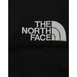The North Face e Winterjassen