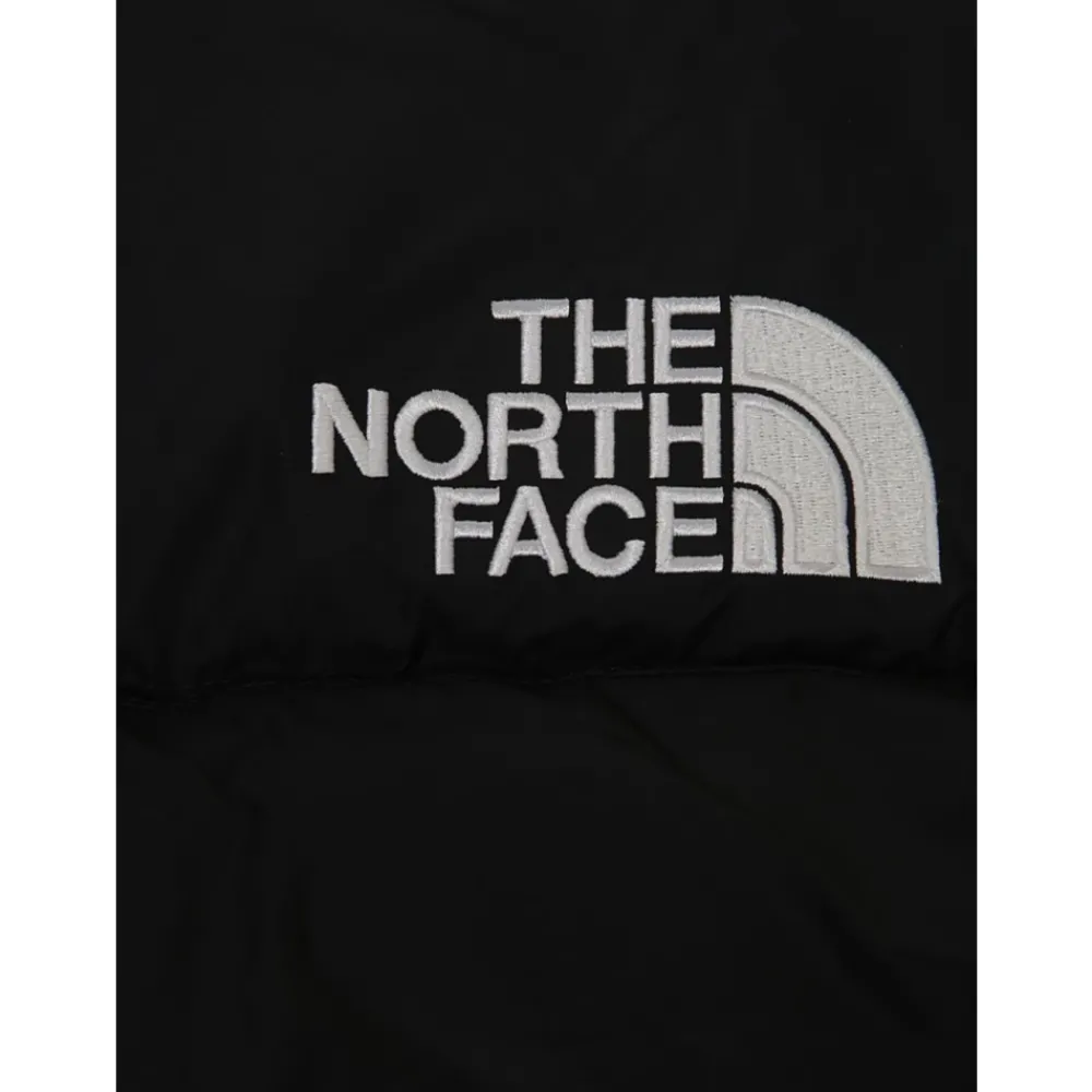 The North Face e Winterjassen